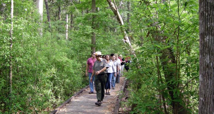 Village Creek Hiking, Bird Watching Big Thicket, East Texas Canoe Trails,