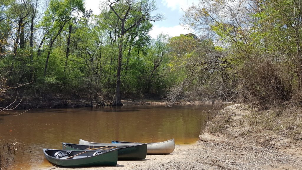 Visit the Big Thicket, Big Thicket hotel, road trip East Texas, Visit the Big Thicket,