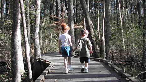 Village Creek Hiking, Bird Watching Big Thicket, East Texas Canoe Trails,