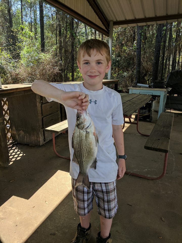 Great Texas Fishing Camps KOA Brookeland on Sam Rayburn SETX