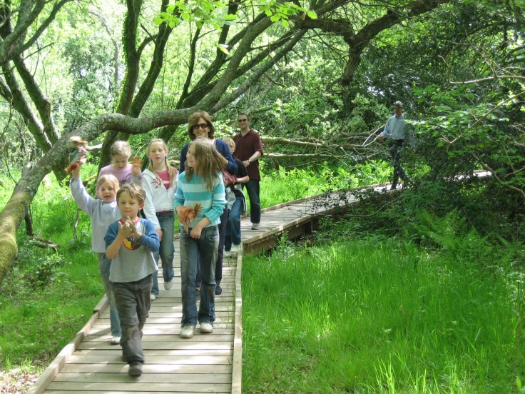 family activities Big Thicket, family events Southeast Texas, road trip East Texas, road trip Big Thicket,