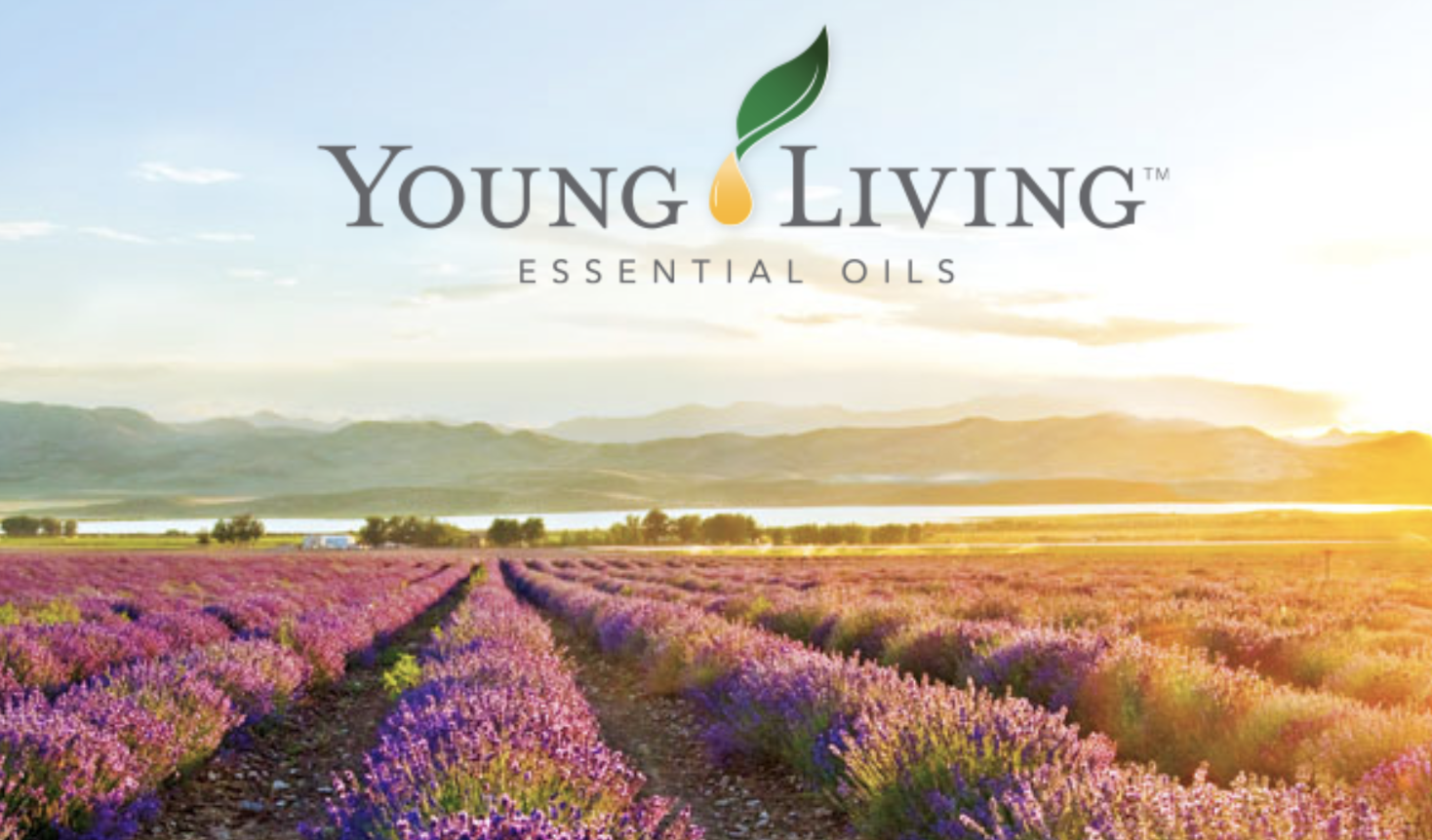 essential oil help Southeast Texas, essential oils help Beaumont TX, young living questions Beaumont, Young Living distributor Lufkin,