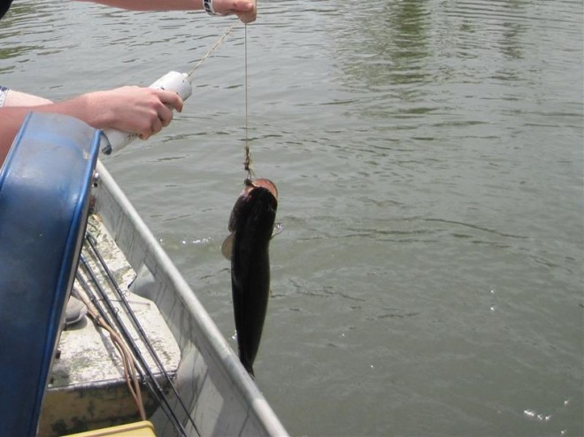 fishing with kids, catfish noodle, fishing Lake Livingston,