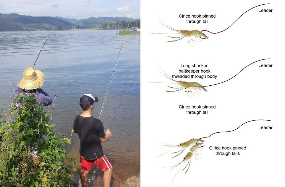 guide to fishing with live shrimp, fishing guide SETX, Kids in the Outdoors