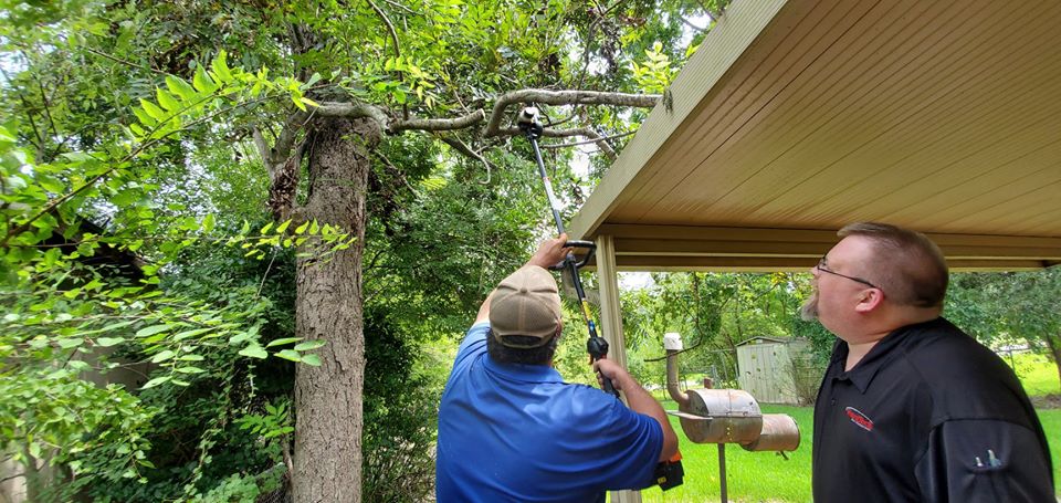 termite control Beaumont, pest control SIlsbee, pest control Crystal Beach, pest control Golden Triangle TX,