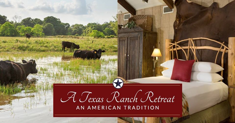 guest ranch Sealy, bed and breakfast Cat Springs, hotel Sealy, B&B Cat Springs, lodging Stephen F Austin Park,