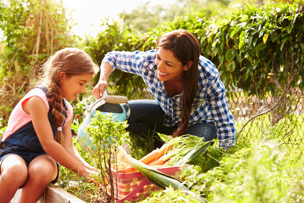 garden East Texas, garden Beaumont, garden SETX, Golden Triangle gardening, vegetable garden Beaumont,