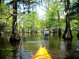 road trip East Texas, Big Thicket canoeing, hiking Dam B, visiting Woodville, to do Jasper TX, alligators Texas,