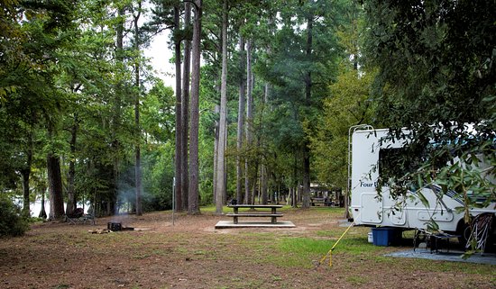 road trip East Texas, Big Thicket canoeing, hiking Dam B, visiting Woodville, to do Jasper TX, alligators Texas,