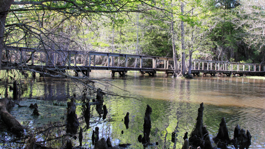 road trip East Texas, Big Thicket canoeing, hiking Dam B, visiting Woodville, to do Jasper TX, alligators Texas,