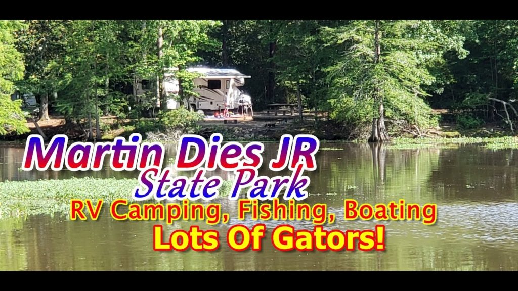 road trip East Texas, Big Thicket canoeing, hiking Dam B, visiting Woodville, to do Jasper TX, alligators Texas,