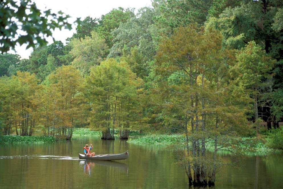 road trip East Texas, Big Thicket canoeing, hiking Dam B, visiting Woodville, to do Jasper TX, alligators Texas,