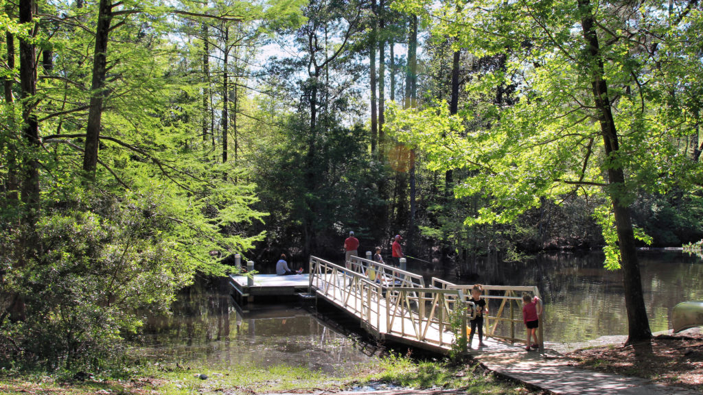 road trip East Texas, Big Thicket canoeing, hiking Dam B, visiting Woodville, to do Jasper TX, alligators Texas,