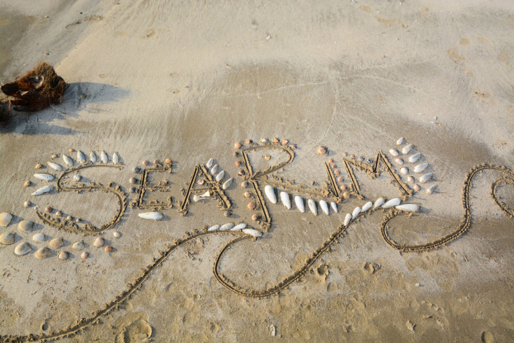 picnic Sea Rim State Park, Texas Road Trip ideas, kayak trails Gulf Coast, Southeast Texas visitor guide,