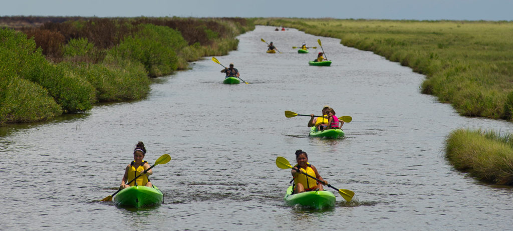 picnic Sea Rim State Park, Texas Road Trip ideas, kayak trails Gulf Coast, Southeast Texas visitor guide,