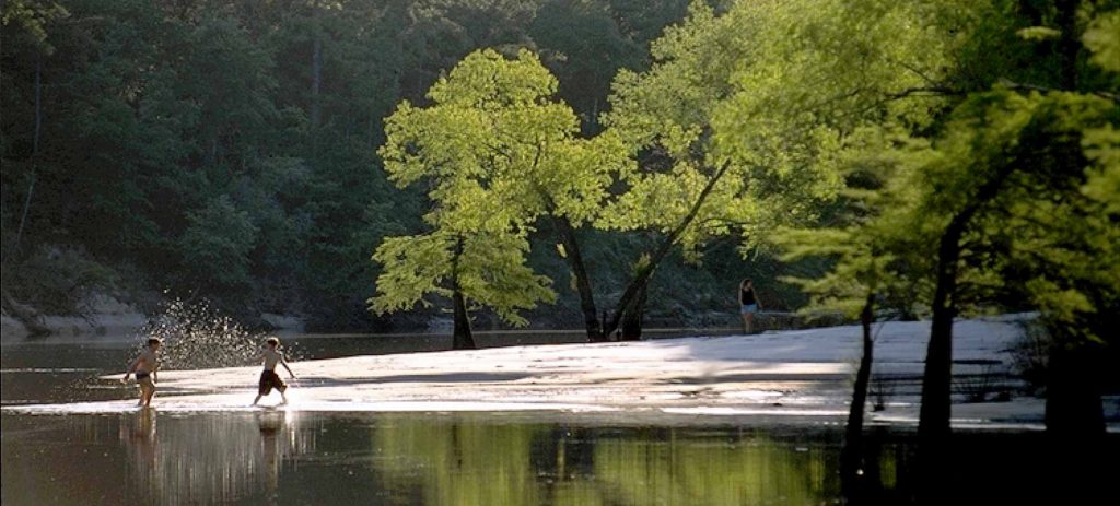 Village Creek State Park Guide, to do Beaumont, East Texas road trips, canoe Village Creek, kayak Big Thicket, camping SETX,