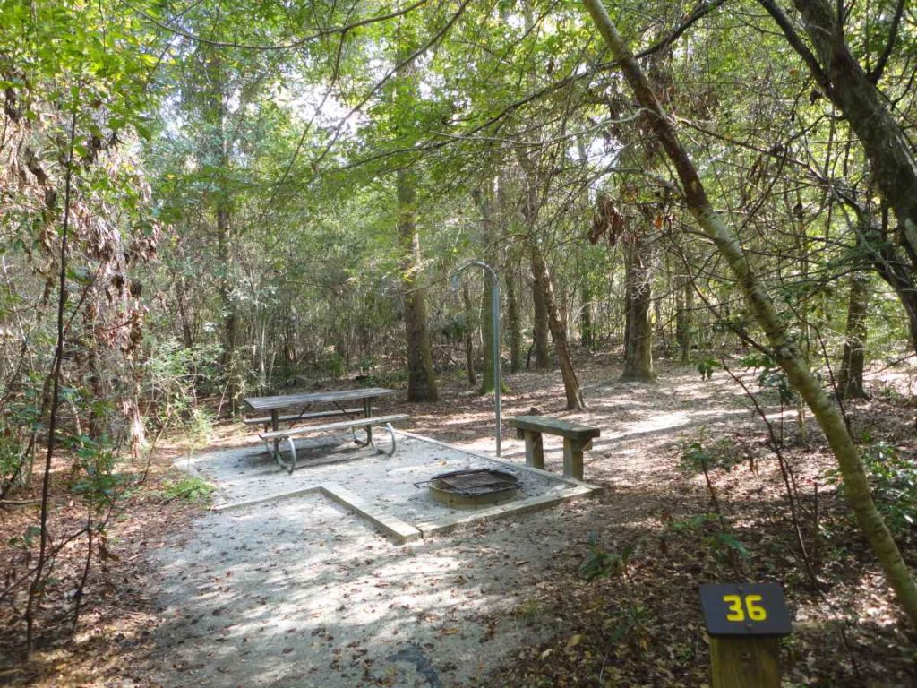 Village Creek State Park Guide, to do Beaumont, East Texas road trips, canoe Village Creek, kayak Big Thicket, camping SETX,