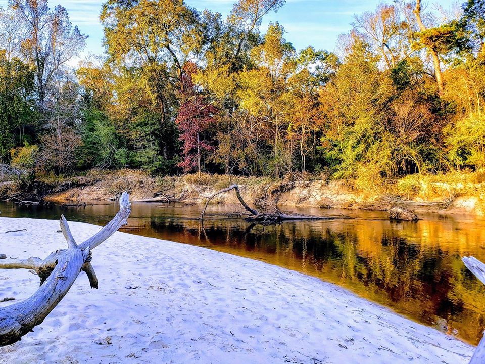 Village Creek State Park Guide, to do Beaumont, East Texas road trips, canoe Village Creek, kayak Big Thicket, camping SETX,