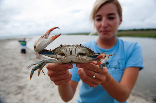 Don't Worry, Be Crabby  Go Crabbing in Port Aransas, Texas