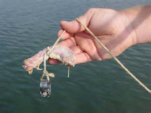crabbing Southeast Texas, crabs Port Arthur, catch crabs Bridge City TX, where to crab Orange TX,