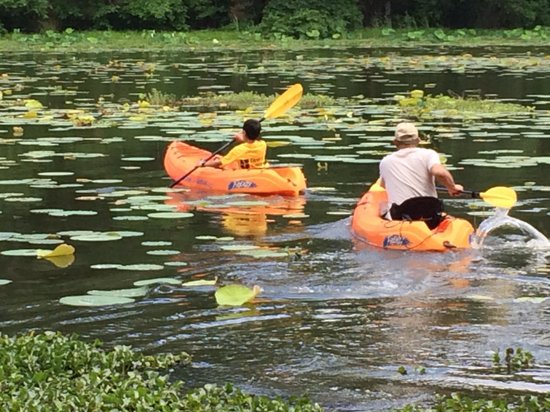 swimming hole East Texas, bass fishing Huntsville, East Texas swimming, to do Golden Triangle, summer activities SETX,