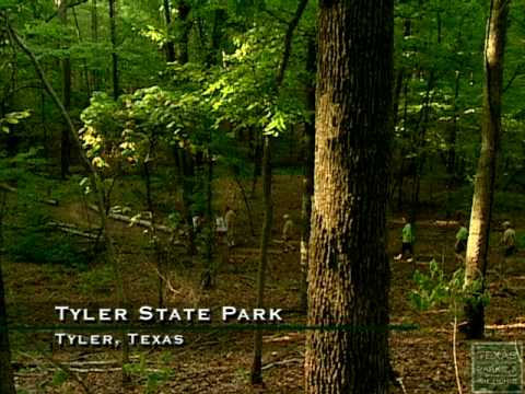 swimming holes East Texas, camping near Tyler, Road Trips East Texas, TX road trip guide,
