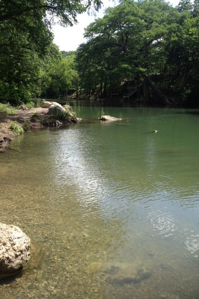 dove hunting Texas, Central Texas dove outfitters, New Braunfels dove guide,