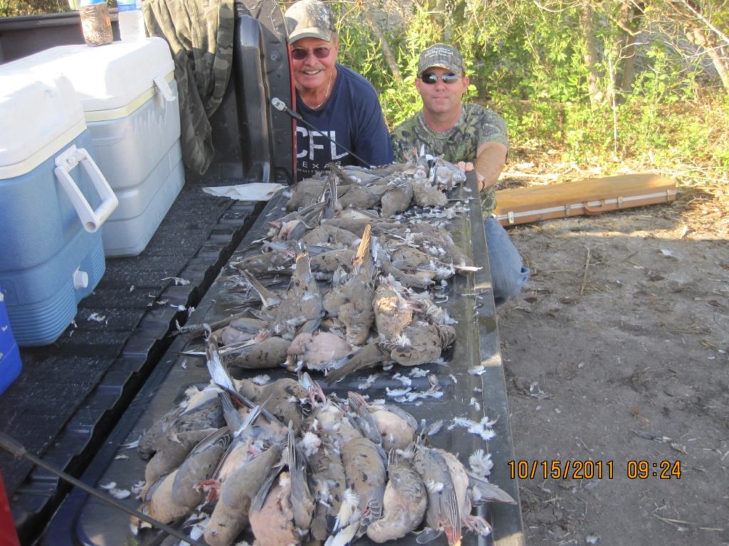 dove hunting Texas, Central Texas dove outfitters, New Braunfels dove guide,