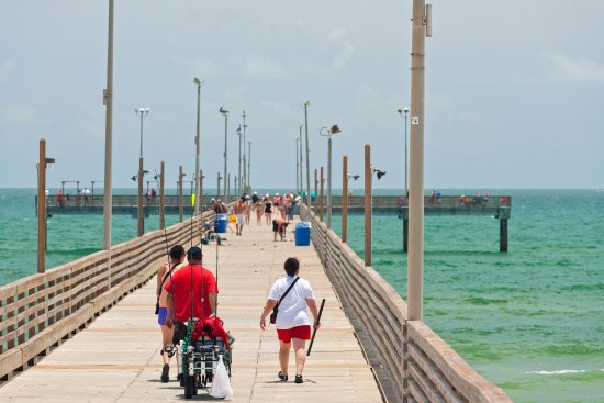 gift shop Port Aransas, tourist guide Port Aransas, activities Port Aransas, Aransas Pass visitor's guide